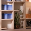 Libreria Lisbeth: Foto particolare.